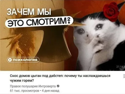 Зачем мы это смотрим