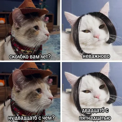 Двадцать с пятнадцатью