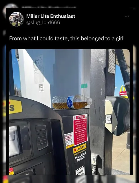 From What I Could Taste
