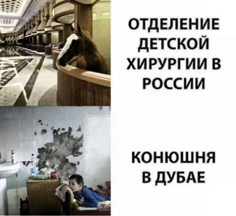 Детская хирургия и конюшня