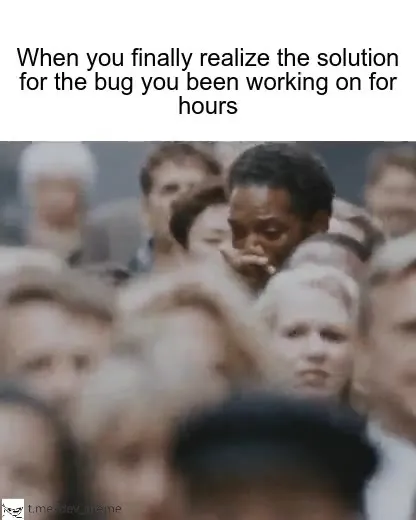 Finally Solving the Bug