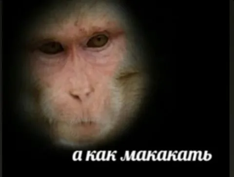А как макакать
