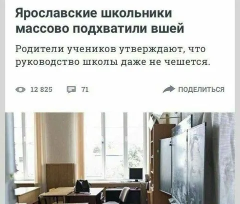 Школьники массово подхватили вшей