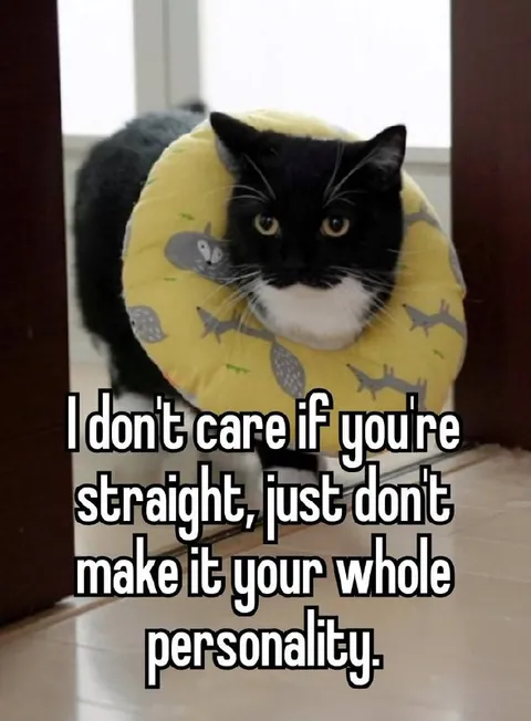 Cat Rejects Straight Personality