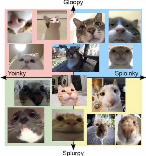 Gloopy Yoinky Cat Chart