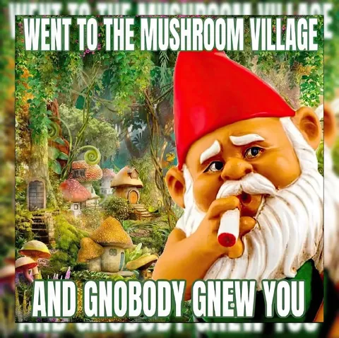 Gnome Mushroom Village