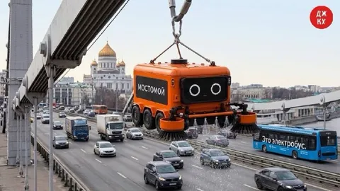 Оранжевый мостомой на мосту