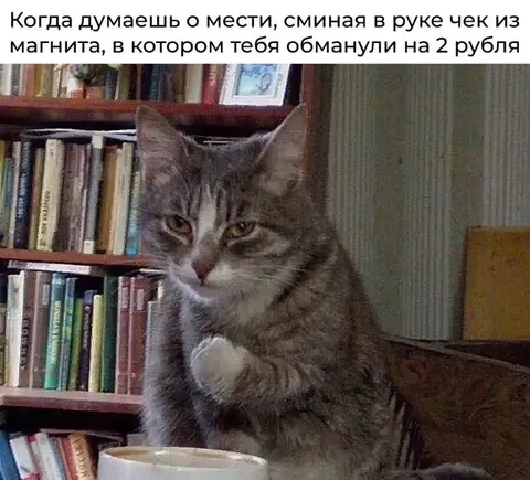 Кот думает о мести за два рубля