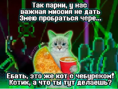 Кот с чебуреком в опасной миссии