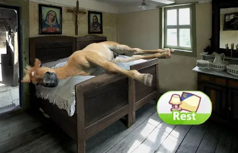 Horse Needs a Rest