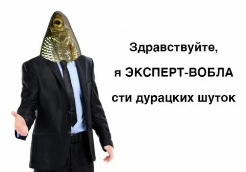 Эксперт вобласти дурацких шуток