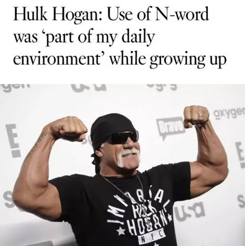 Hulk Hogan N-Word Comment
