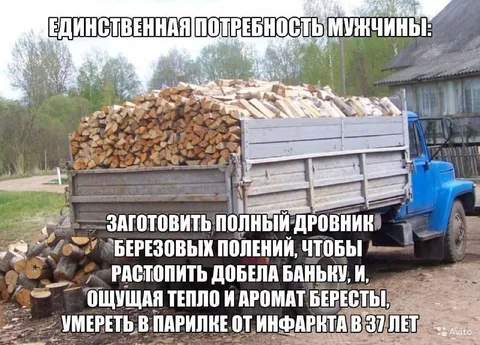 Единственная потребность мужчины