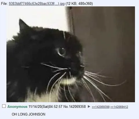 Oh Long Johnson Cat