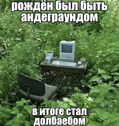 Андеграундный компьютер в лесу