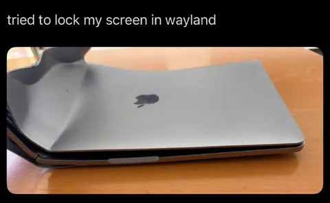 Tried to Lock My Screen in Wayland