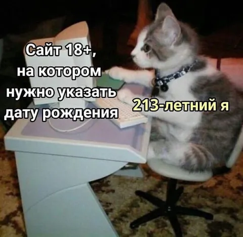 Кот указывает дату рождения