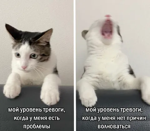 Уровень тревоги без причины