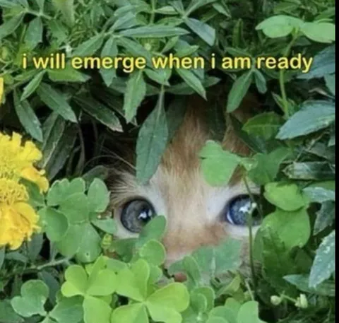 I Will Emerge When Ready