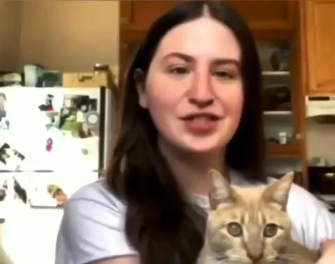 Кот внезапно бьёт хозяйку