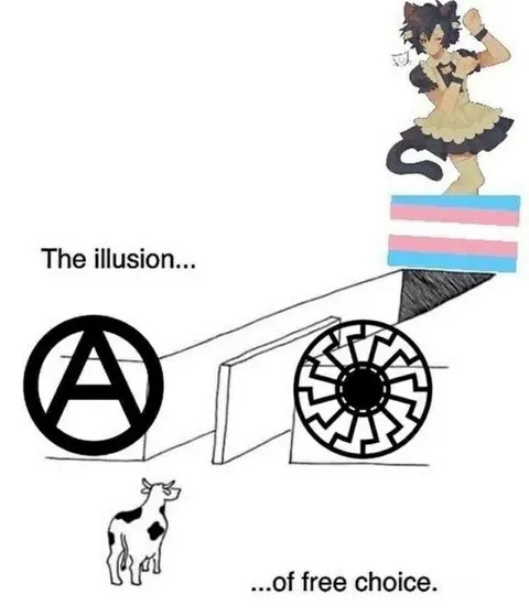 The Illusion of Free Choice