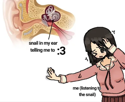 Snail in My Ear Says :3