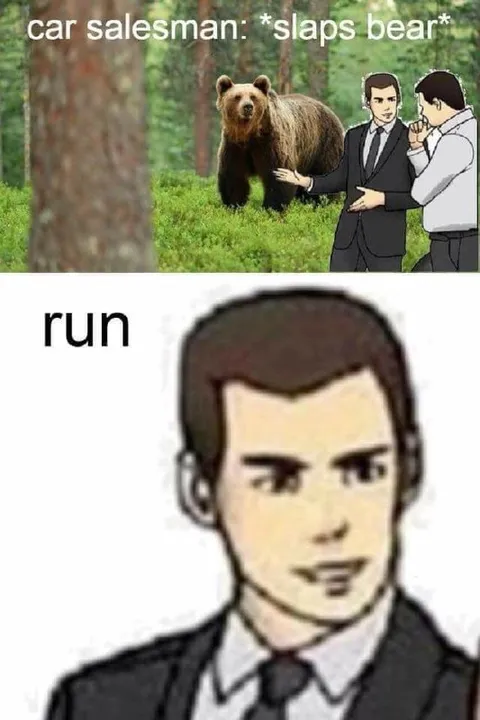 Car salesman slaps bear run
