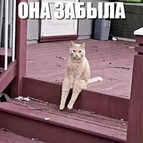 Мама играет, мы теряем