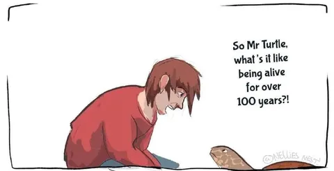 Mr Turtle Has Seen Everything