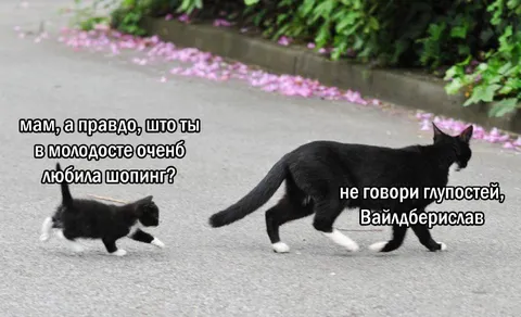 Мам, ты любила шопинг?