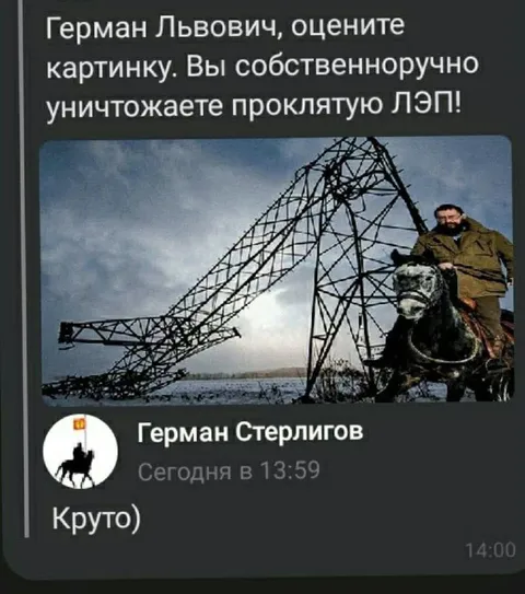 Герман Стерлигов оценил ЛЭП