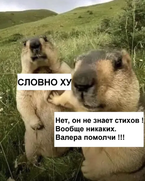 Словно ху — Валера помолчи