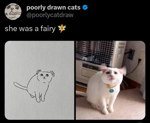 She Was a Fairy Cat