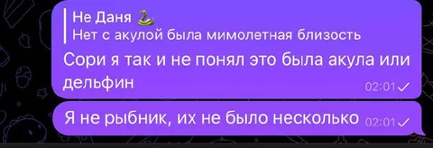 Акула или дельфин
