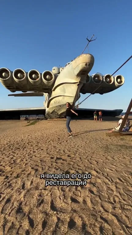 Лунь до и после реставрации