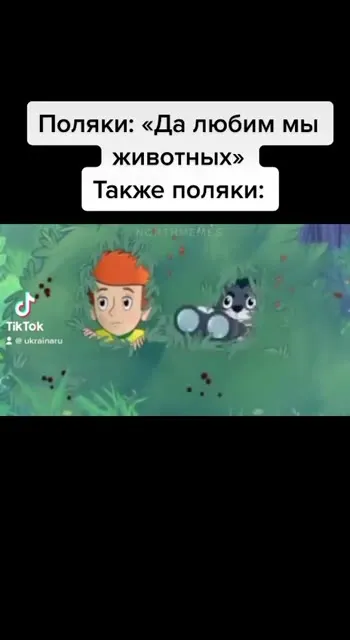 Поляки тоже любят животных