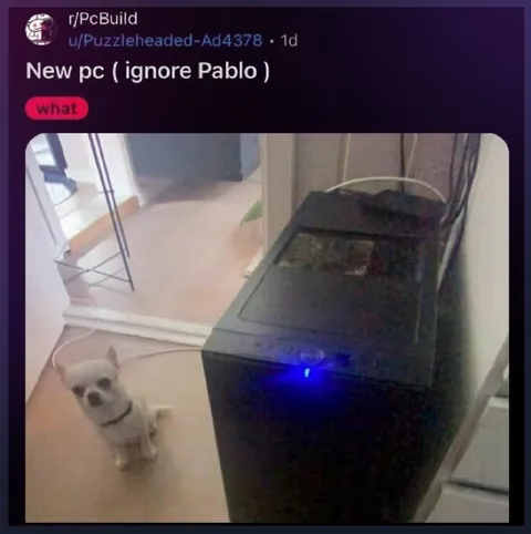 Ignore Pablo New PC