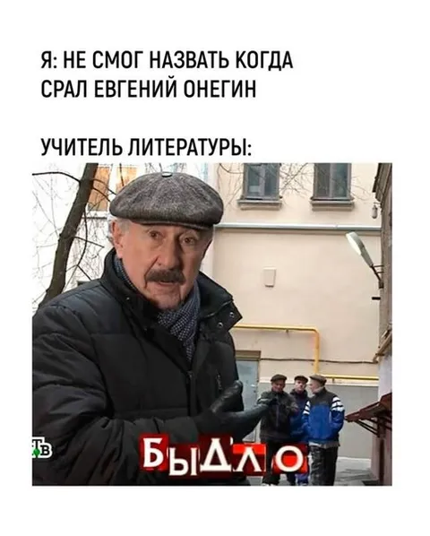 Учитель литературы про Евгения Онегина