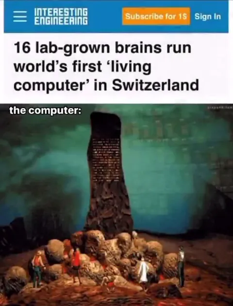 The Living Computer