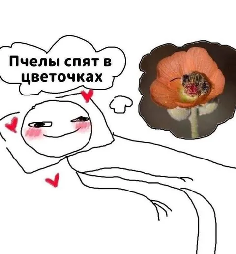 Пчёлы спят в цветочках