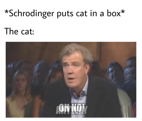 Schrodinger Puts Cat in a Box