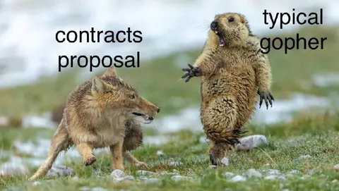 Contracts Proposal Meets Typical Gopher