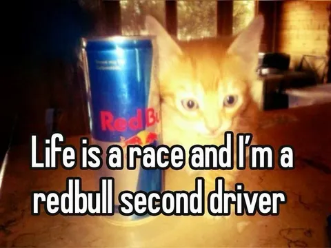 Red Bull Second Driver