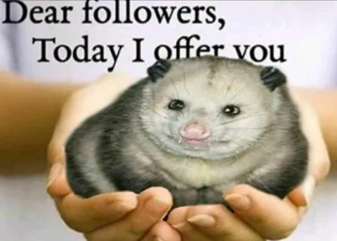 Today I Offer You This Creature