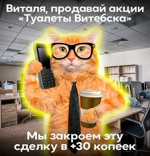 Кот продаёт акции Туалеты Витебска