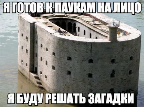 Готов к паукам и загадкам