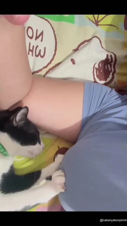 Кот охраняет хозяина