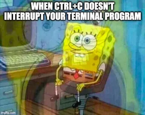 SpongeBob Waiting for Ctrl+C