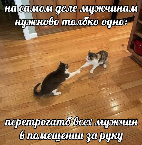 Мужчинам нужно только одно