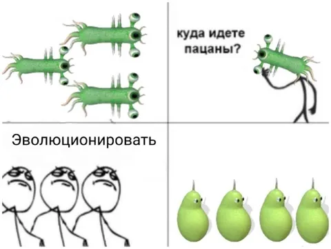 Куда идете, пацаны?